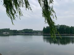 -东湖听涛景区