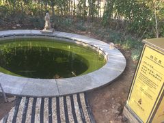 -大连金石滩绿发温泉假日酒店