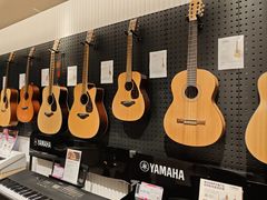 -雅歌音乐培训中心·钢琴培训·乐器培训(交道口店)