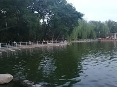 -莲湖公园