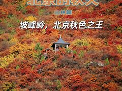 -周口店坡峰岭风景区