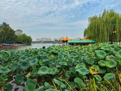 -济南大明湖景区