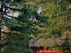 -济南大明湖景区