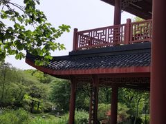 -堤角公园