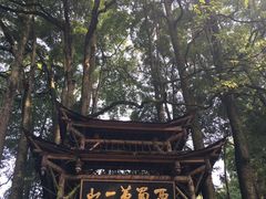 -青城山