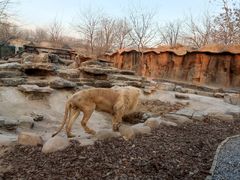 -北京野生动物园