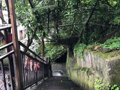 -茶泡饭(李子坝店)