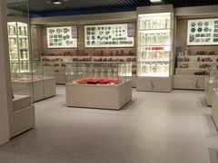 -北京中医药大学-中医药博物馆
