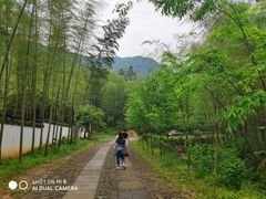 -黄公望隐居地