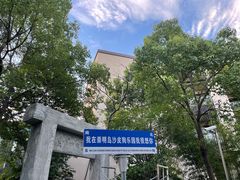 -上海崇明金茂凯悦酒店