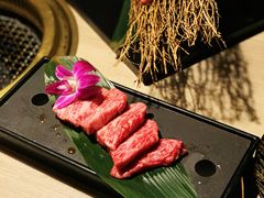 -焼肉 薩摩牛旬 A5鹿児島黒毛和牛一頭買い　(渋谷本店)