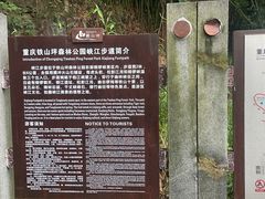 -铁山坪森林公园