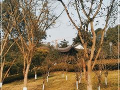 -重庆园博园
