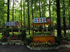 -东平国家森林公园