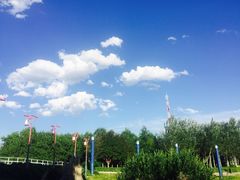 -克拉玛依河景区-九龙潭
