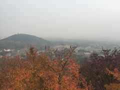 -上海佘山国家森林公园西佘山园