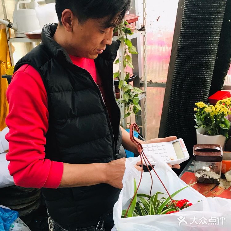              细雨沐春光    花事尽开张