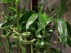 -香佰里鲜货火锅(佳乐金街店)