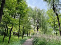 -野鸭湖国家湿地公园