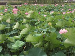 -兴芮温泉度假区