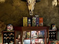 -雪灵魔法世界SHELLY’S TAROT(大良桂畔里店)