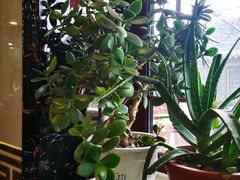 -伊隆斋(什刹海店)