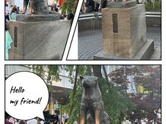 -涩谷全向十字路口