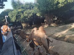 -南昌动物园