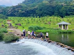 -广州市石门国家森林公园