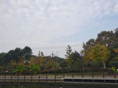 -黄陂区野村谷景区