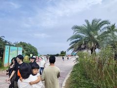-朱家尖南沙景点