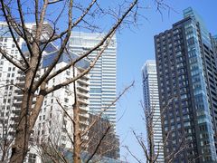 -上海港国际客运中心1号游艇码头