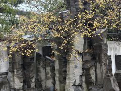 -无锡梅园公园
