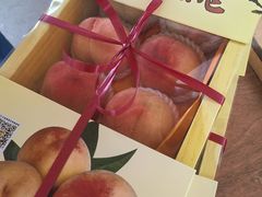 -南汇水蜜桃采摘(大团店)