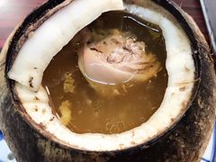 原只椰子炖走地鸡-達揚原味燉品(文明路店)