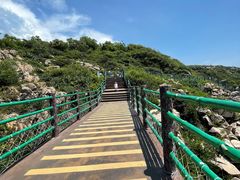 -广东惠东海龟国家级自然保护区