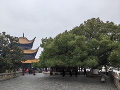 -岳阳楼景区