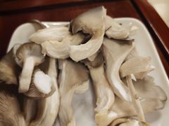 -老城红焖羊肉(老步行街店)