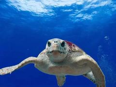 -江和美海洋公园