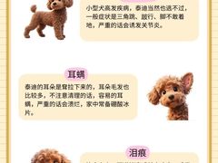 -联合动物医院(光谷诊疗中心)