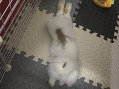 -龙猫仔乐园(惠福东路店)