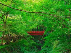 -三千院