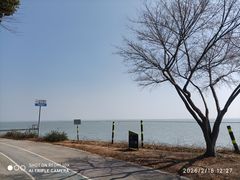 -贡湖湾湿地公园