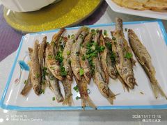 -水上人家河鲜