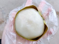 -东郊椰林