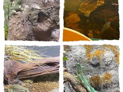 -中国湿地博物馆