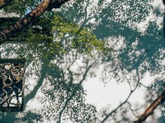 -留园