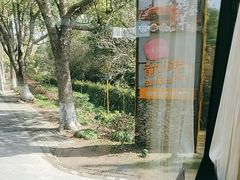 -前小桔亲子创意农场·草莓采摘·露营烧烤