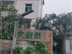 -大自然素食(望桐路店)