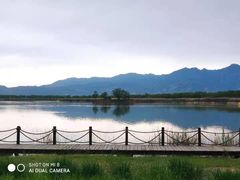 -野鸭湖国家湿地公园